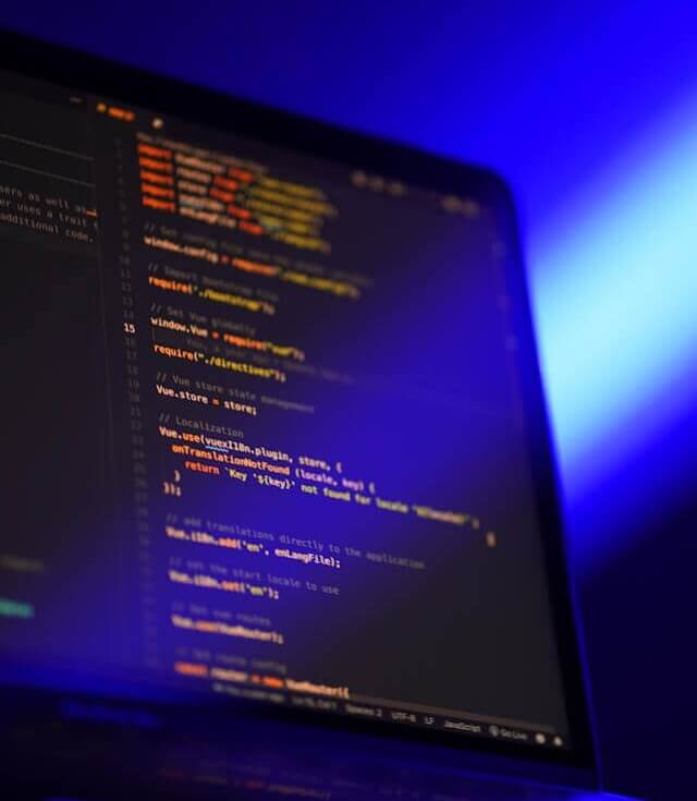 Image of a Vue JS code editor